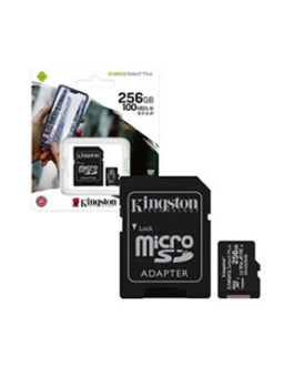 Momeria Micro SD Kingston 256GB